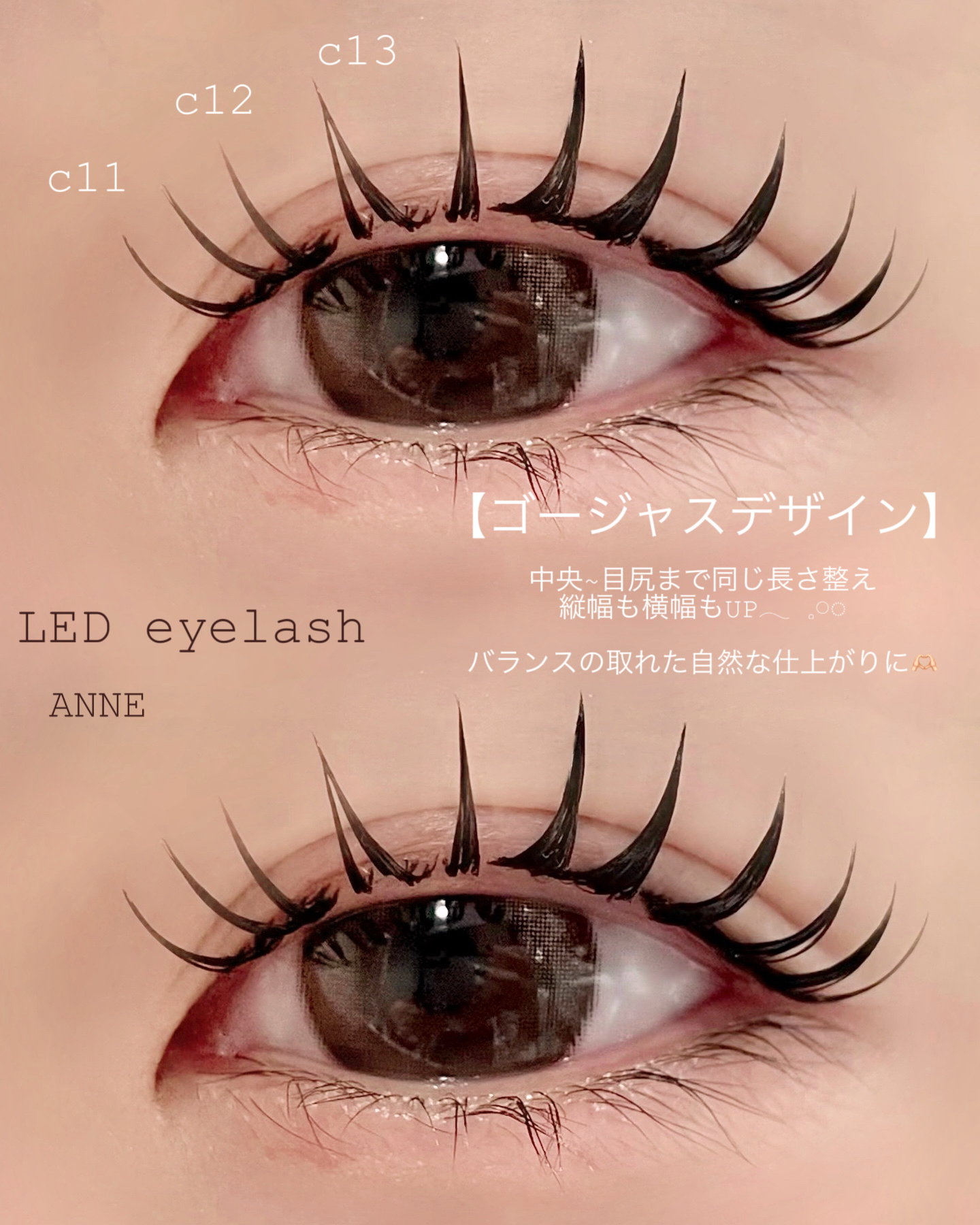 anne_chizu