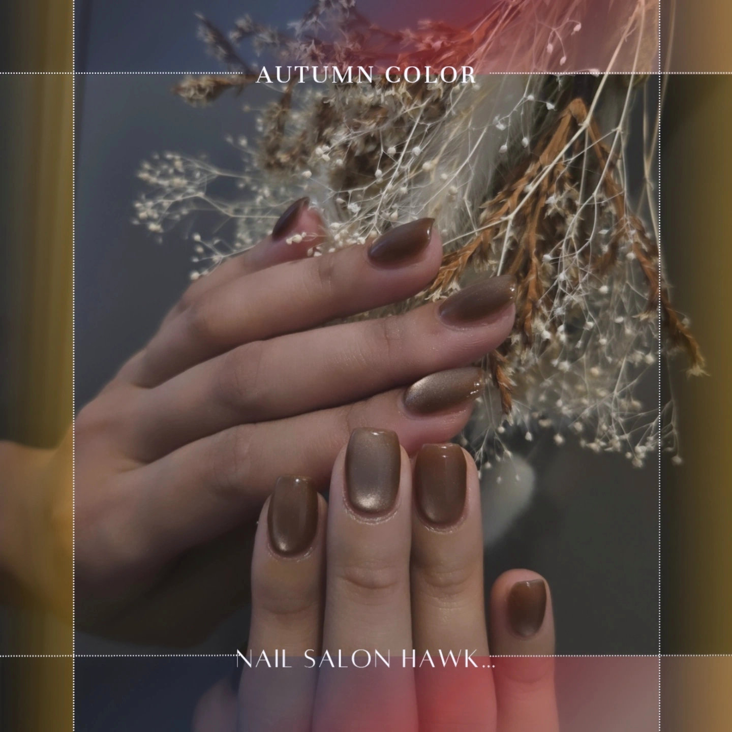 nailsalonHawk
