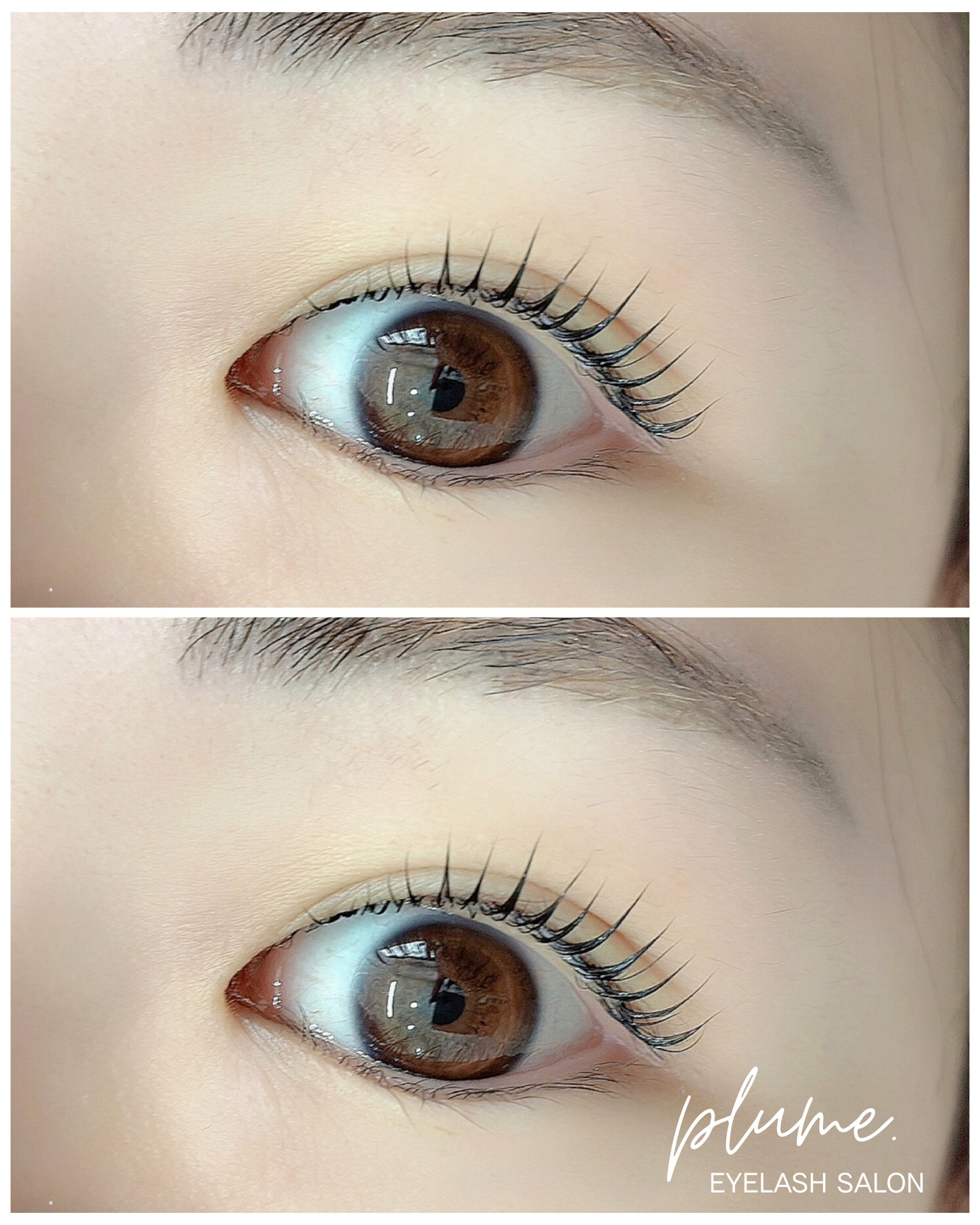 plume.eyelashsalon