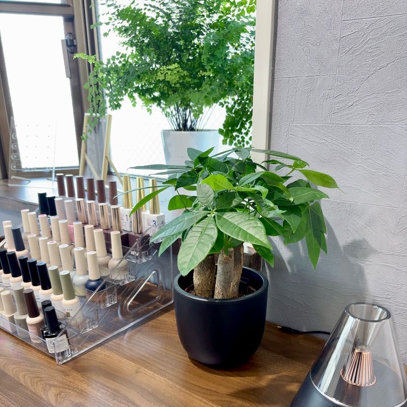 private nail studio -sai-   