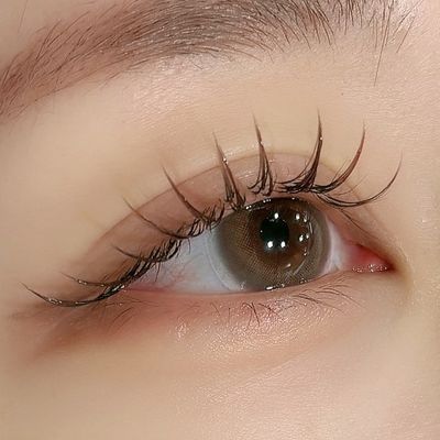ブラウンフラットラッシュ 140本