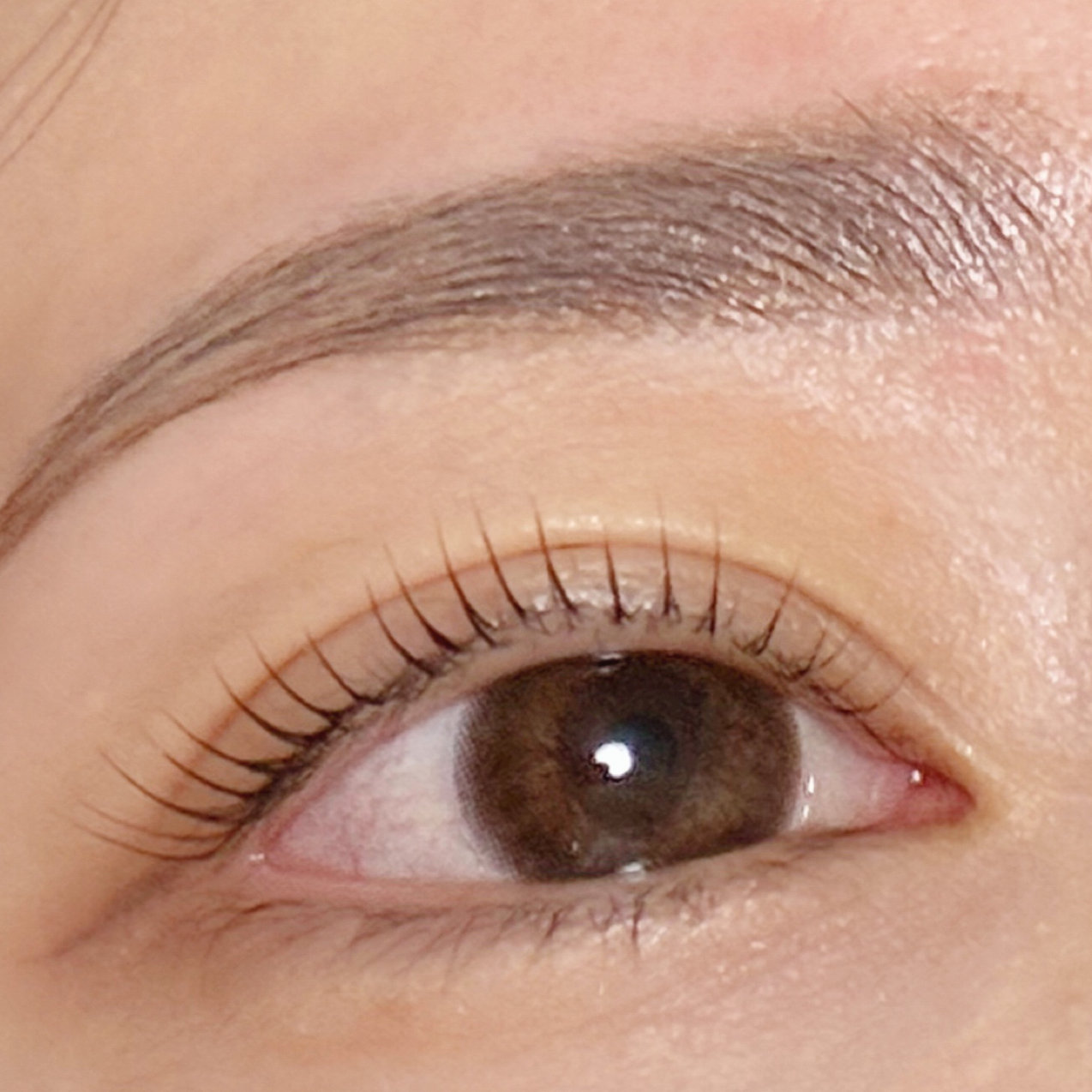 noel_eyelash