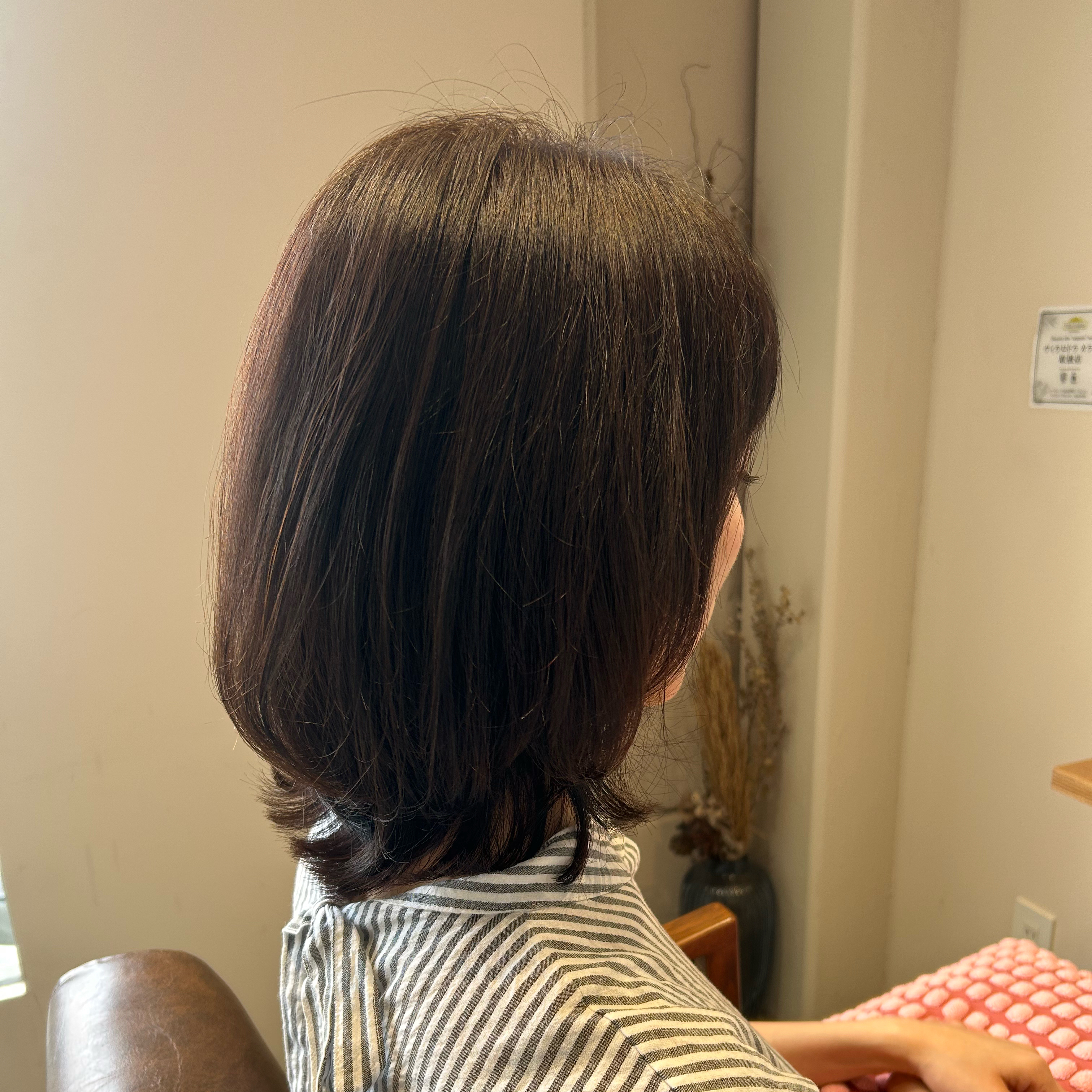 rivegauche_fujiwara