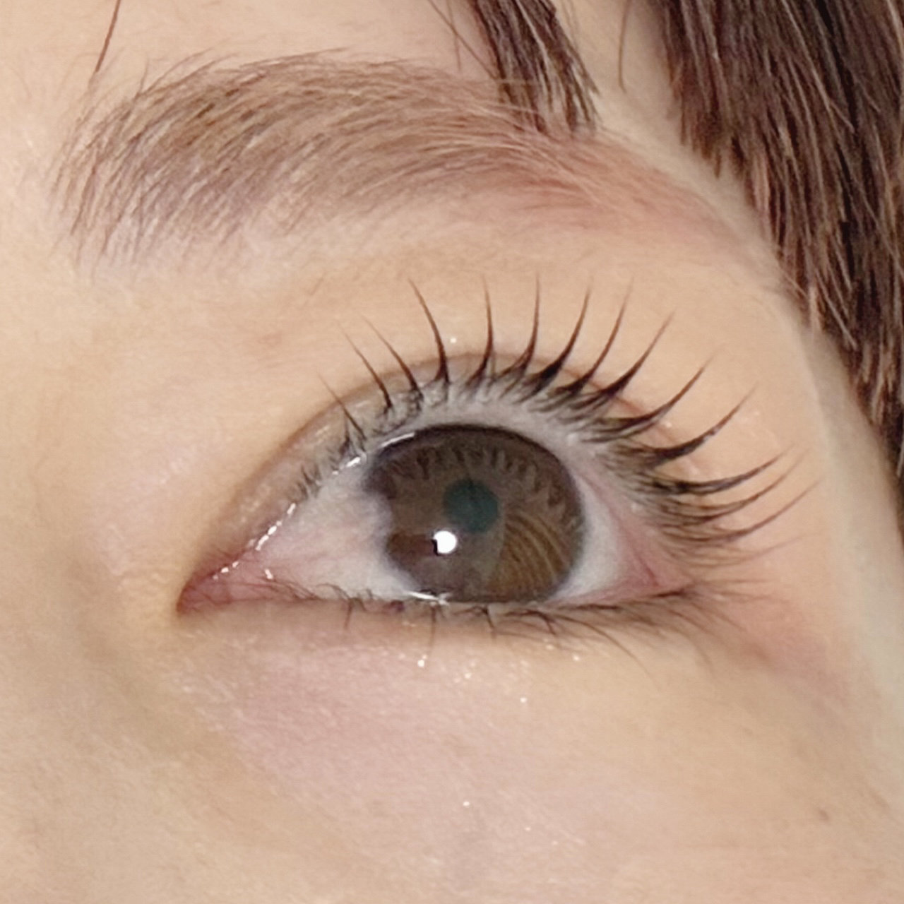 noel_eyelash