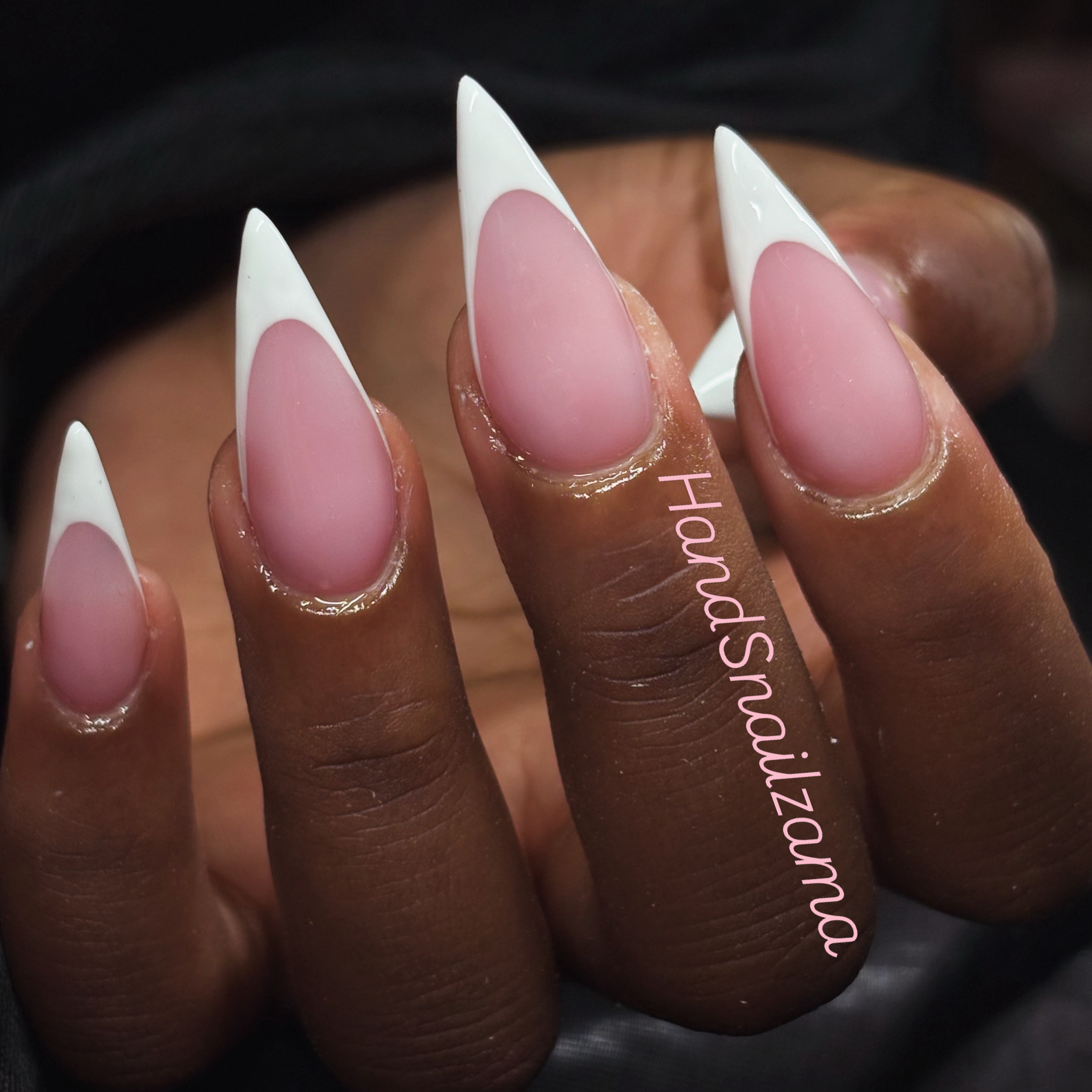 HandSnailZama