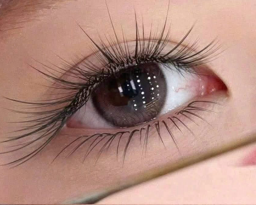 linaeyelash.namba