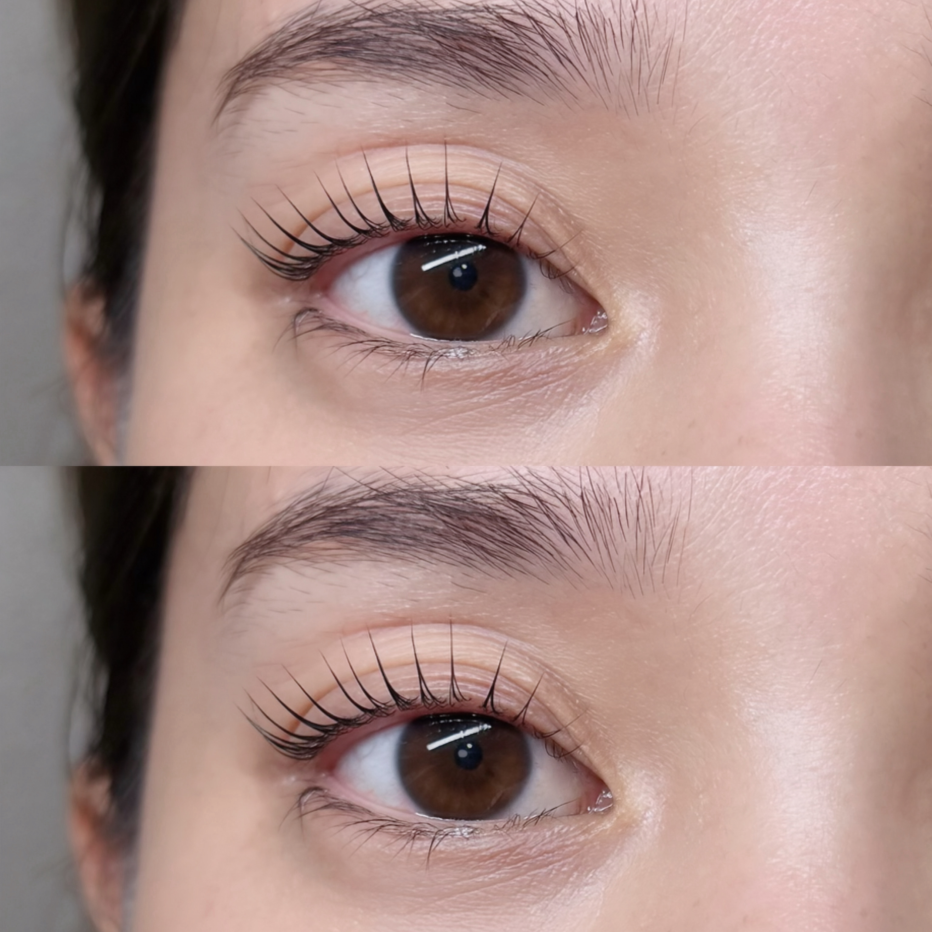 etorca.eye