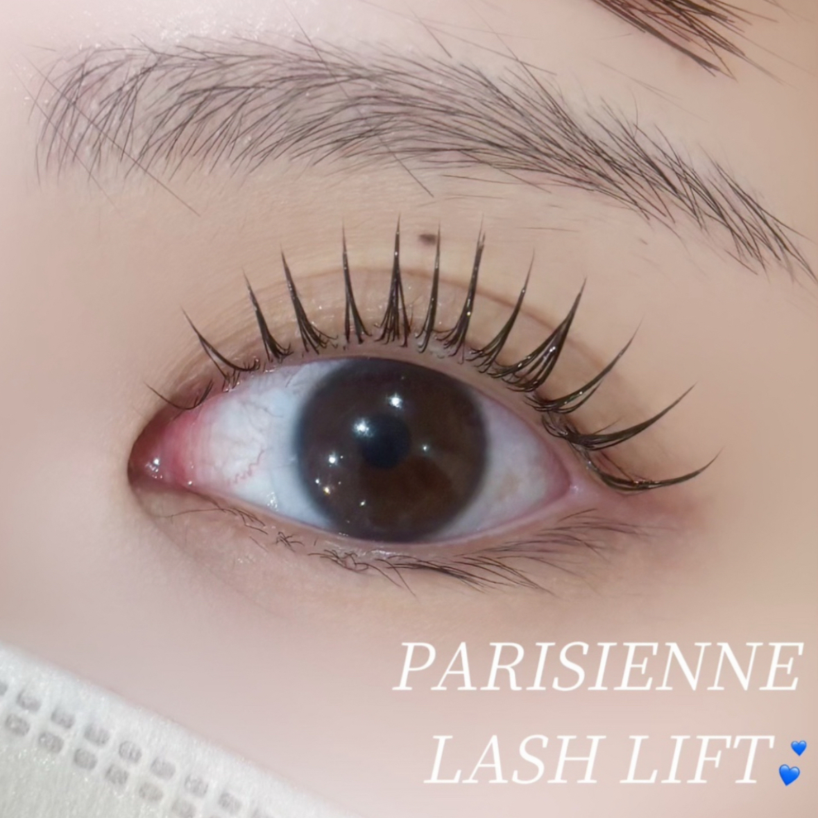 Shizuku_trueye