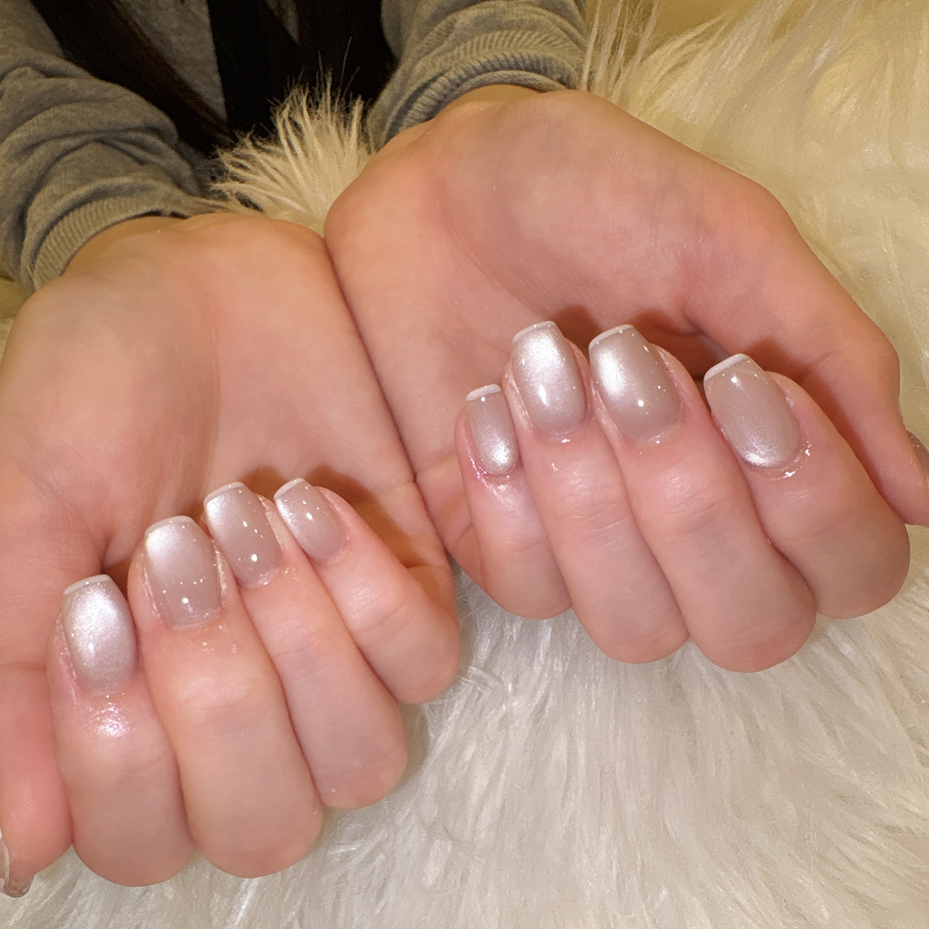 katsura_trunail