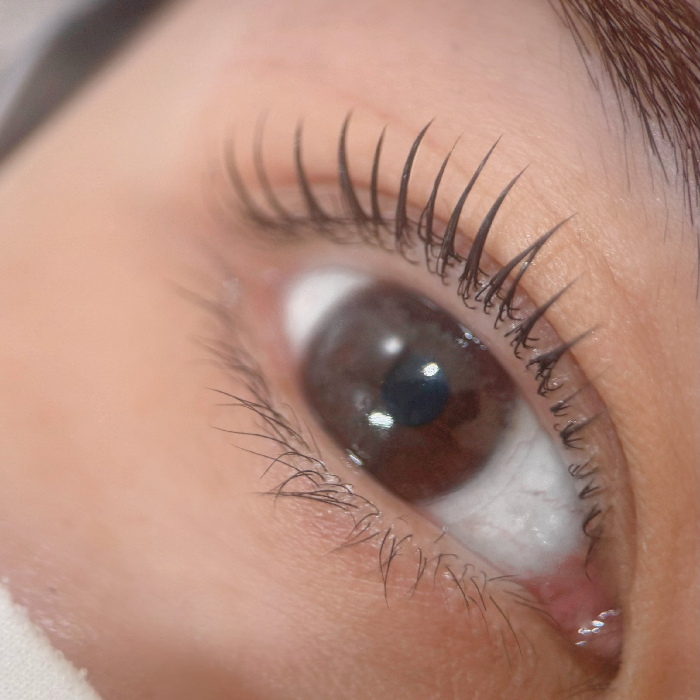 natari_.lash
