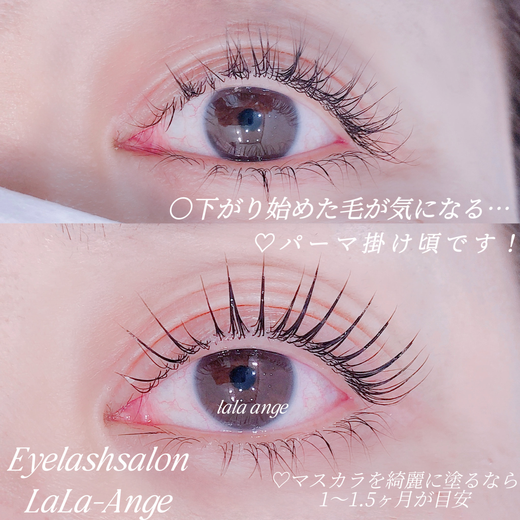 lisa_lala_eye