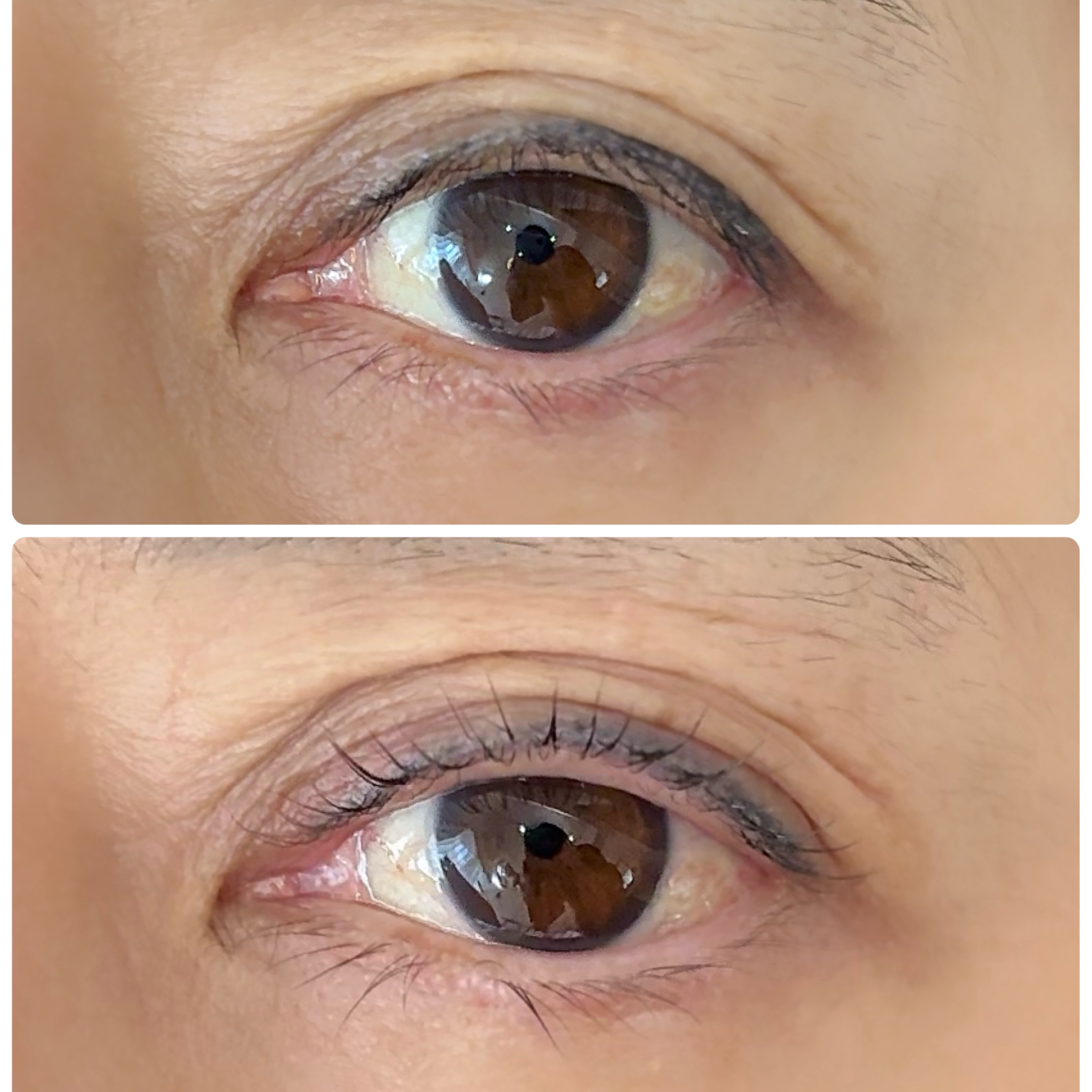 eyelash_by_rim