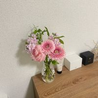 sakura1127