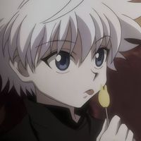 zoldyck