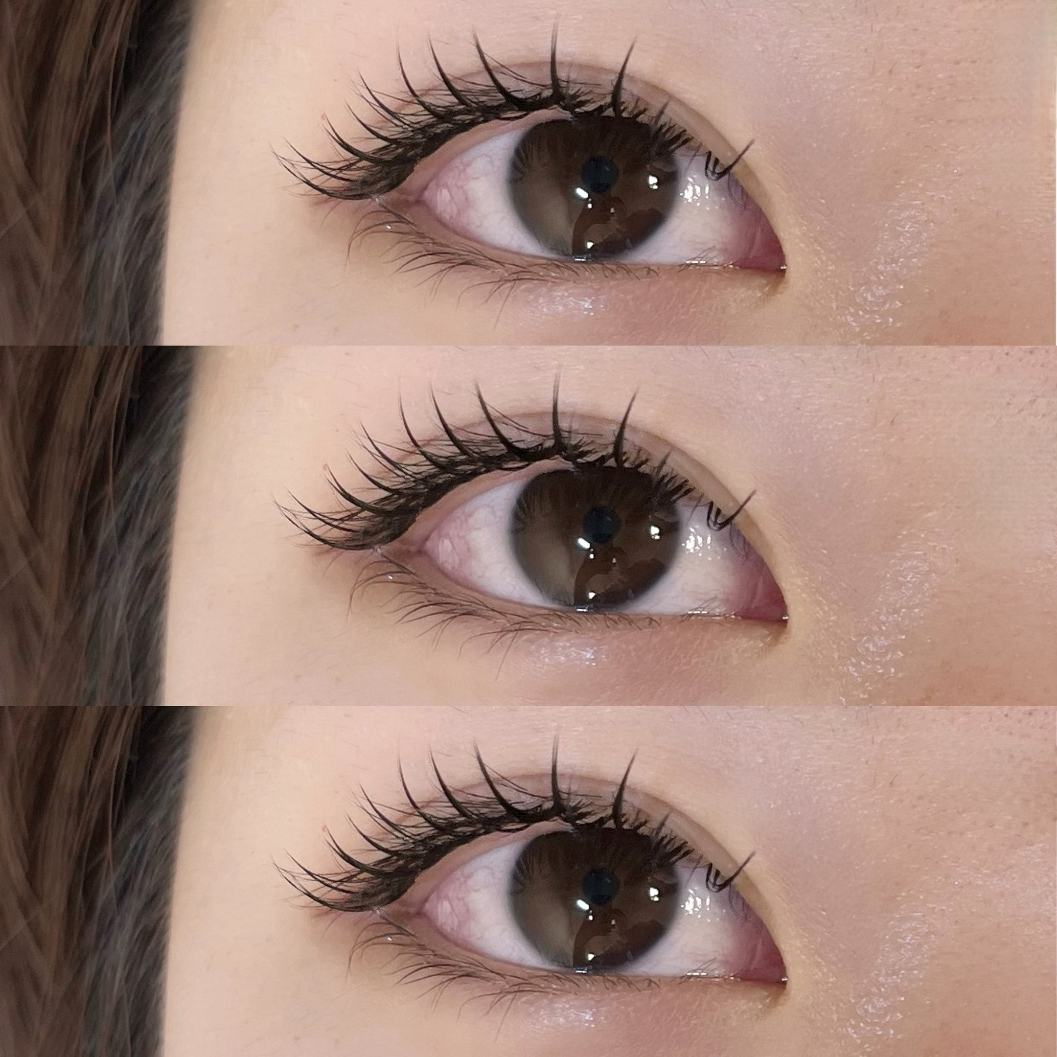 himawari_trueye