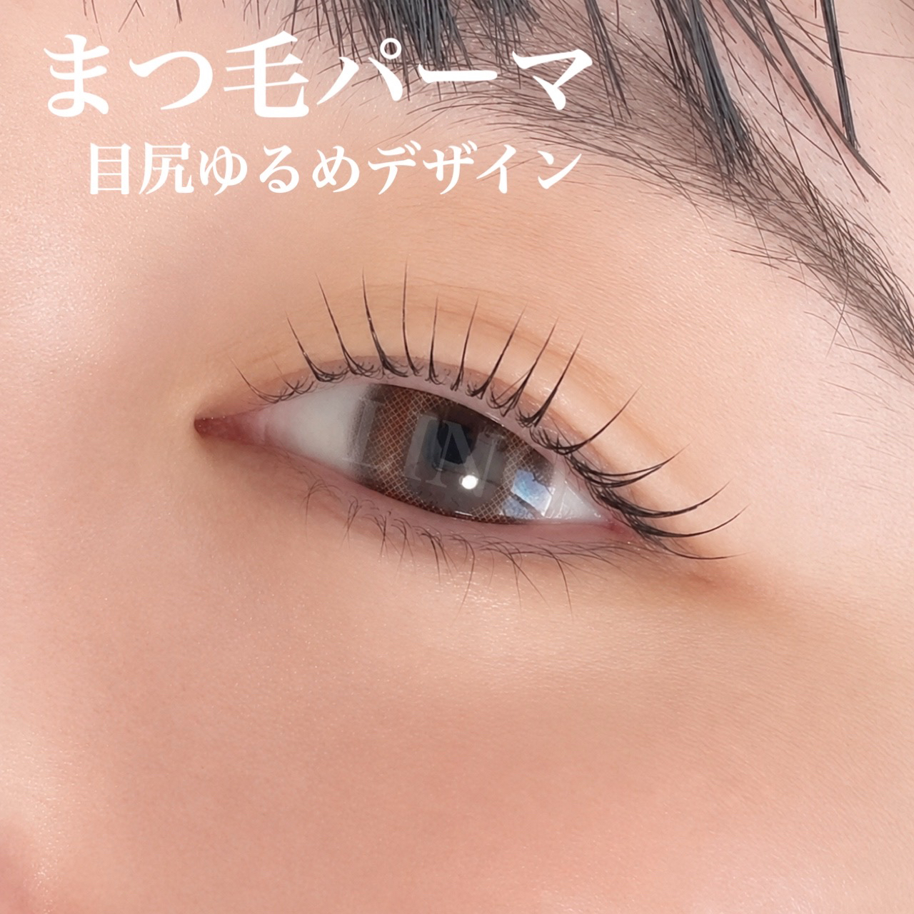 LINO_eyelash.