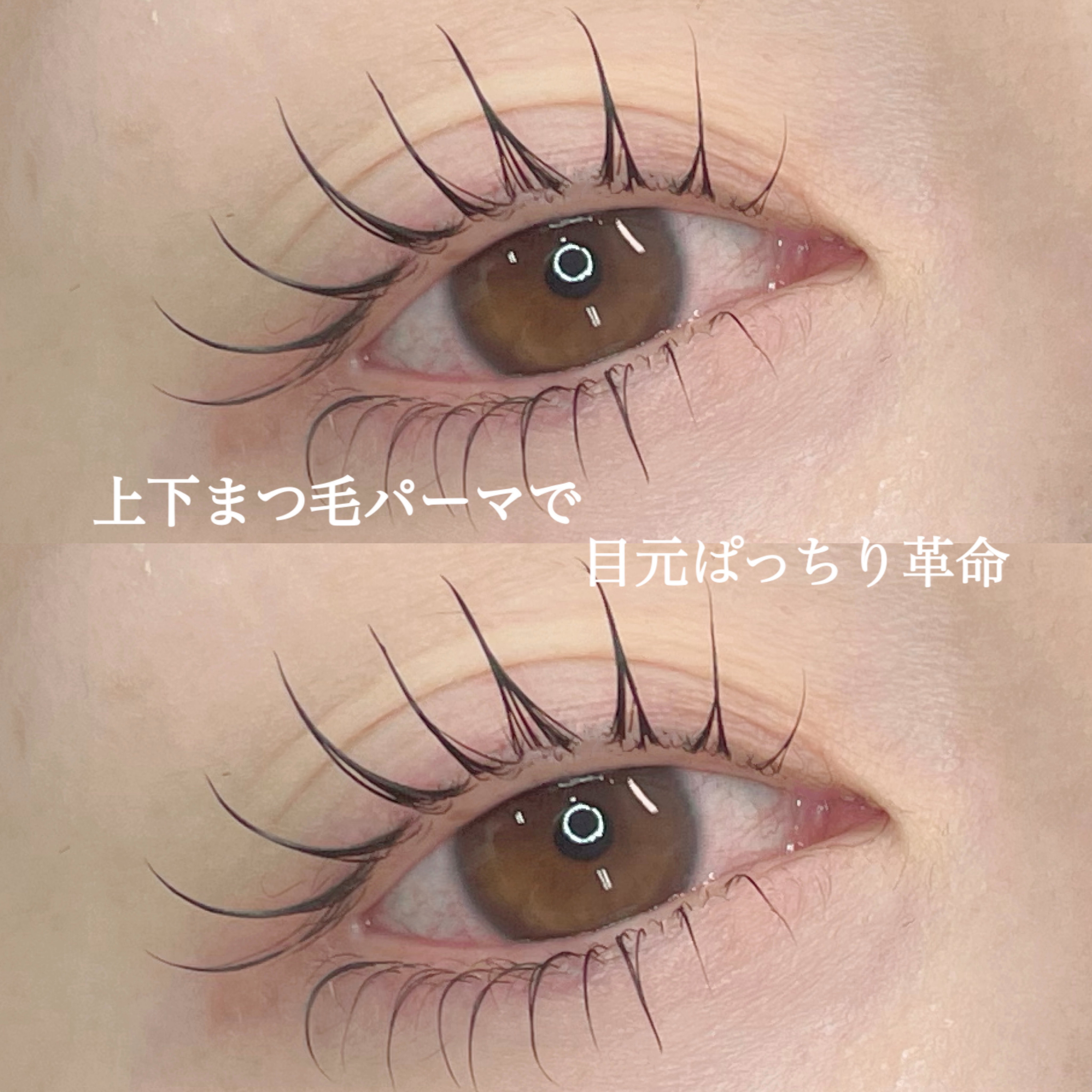 miyuri.eye
