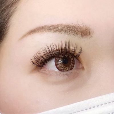 【ご新規様】4Dボリュームラッシュ付け放題