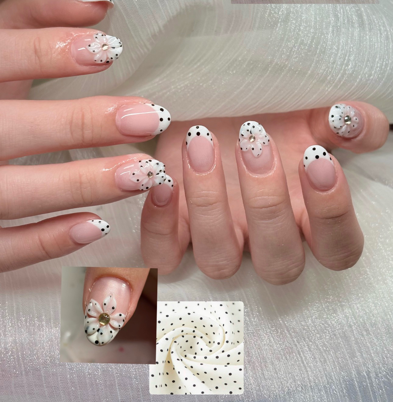 HandSnailZama