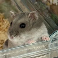 michiyo.6.507