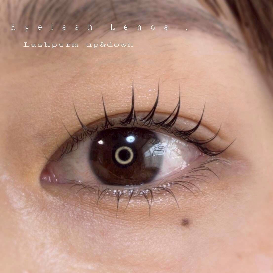 lenoa_eyelash
