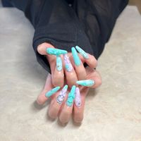 Leechanail