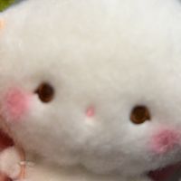 pastelcat05