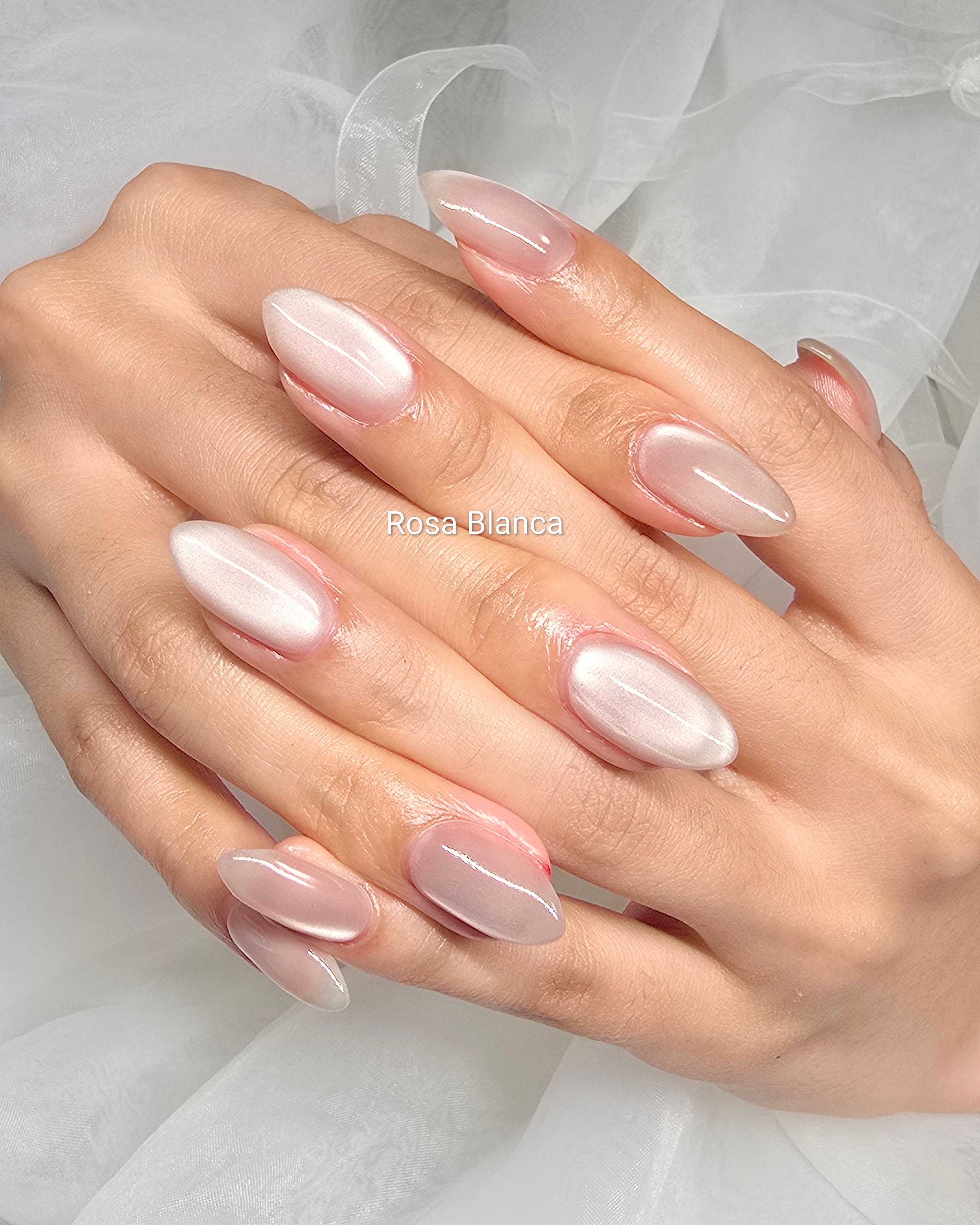 Rosa_Blanca