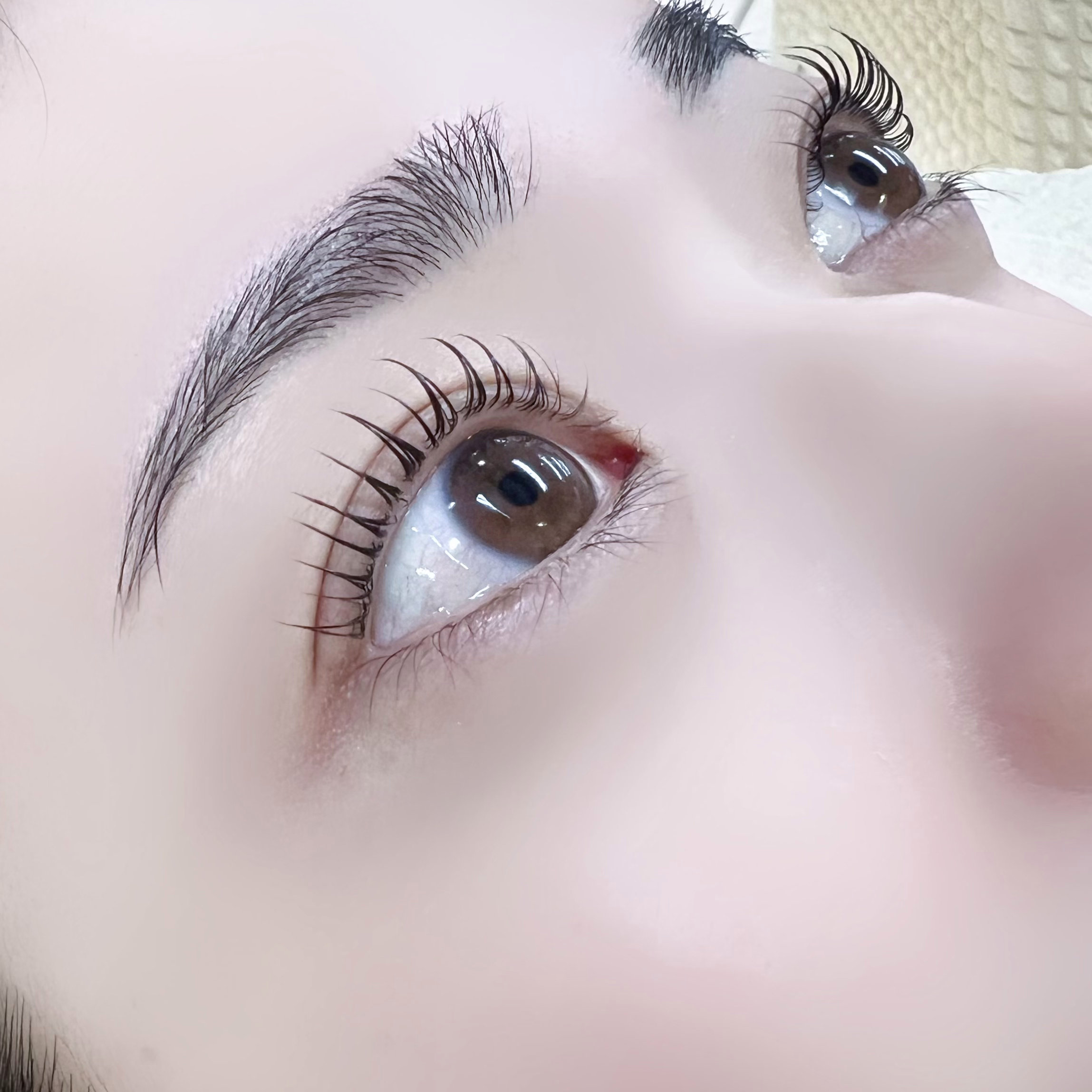 seika_trueye