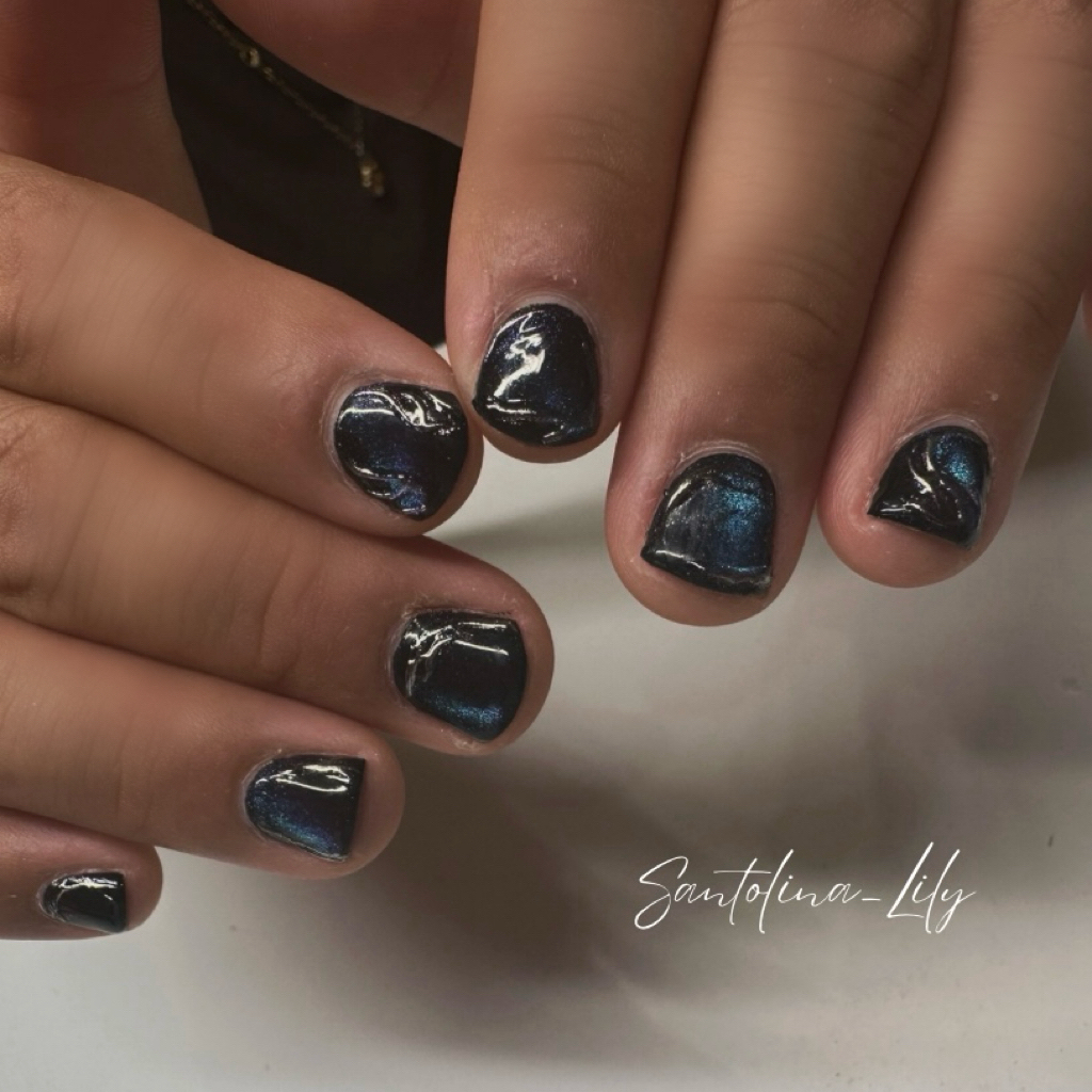 Santolina_Lily