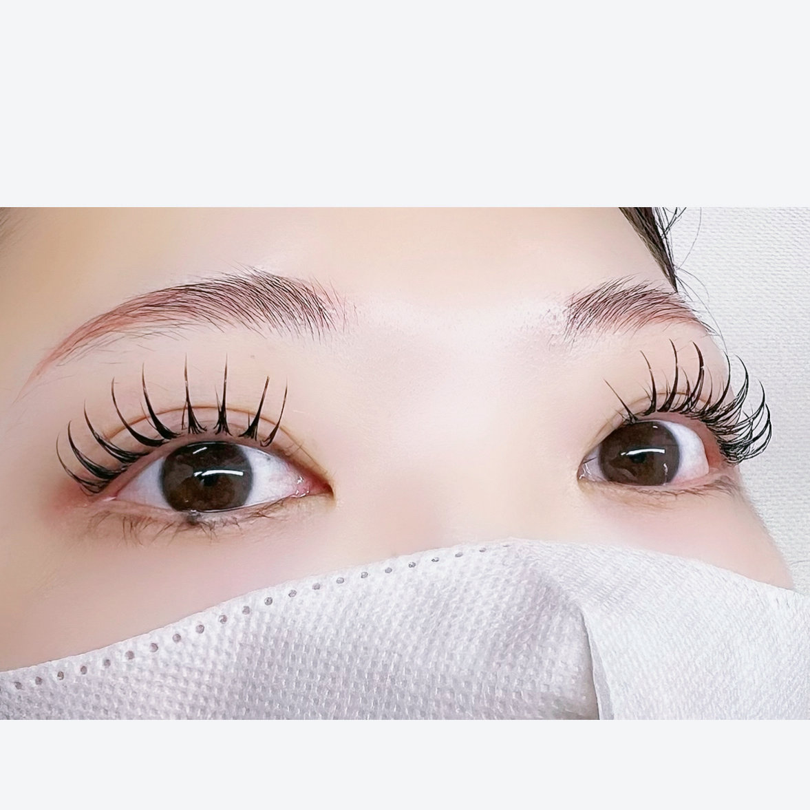 FLY_EYELASH